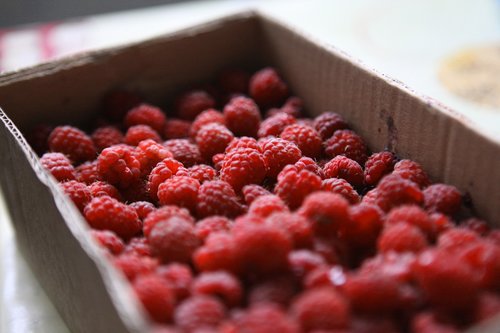 raspberry  summer  berry