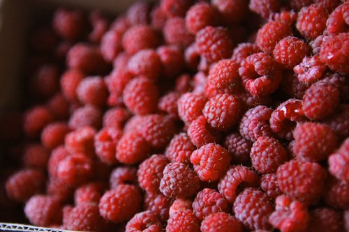 raspberry  summer  berry