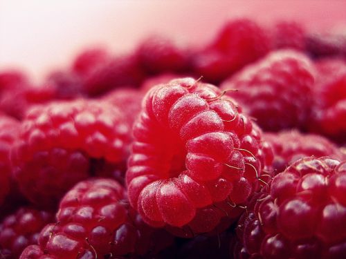 raspberry fruits fresh