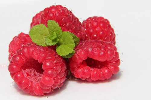 raspberry  mint  berries