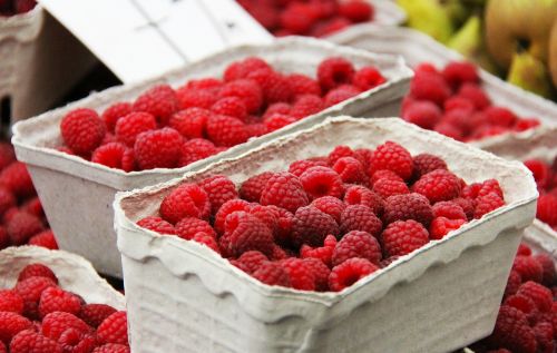 fruits raspberry berry