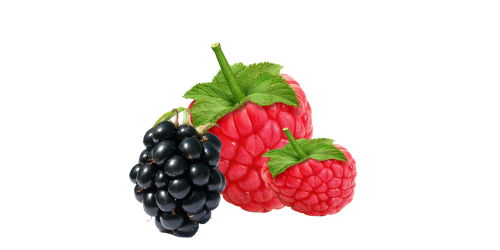 raspberry berry raspberries