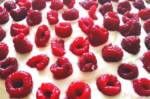 raspberry cake dessert
