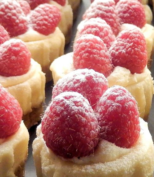 raspberry mini cheese cakes fresh fruit sweet