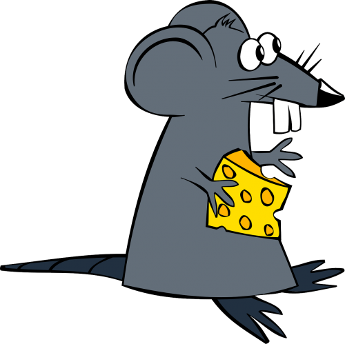 rat mouse cheese