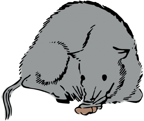 rat mouse woodcut