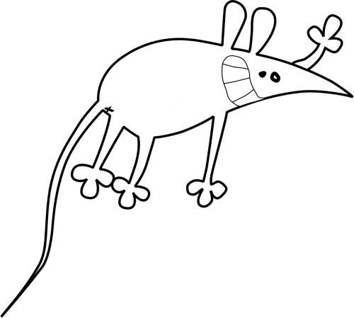 rat mouse rodent