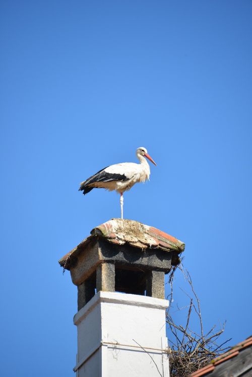 rattle stork fireplace stork