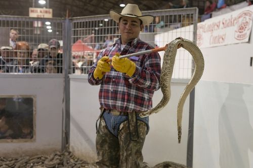 rattlesnake handler cowboy roundup