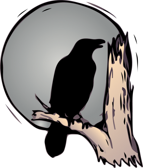 raven moon black