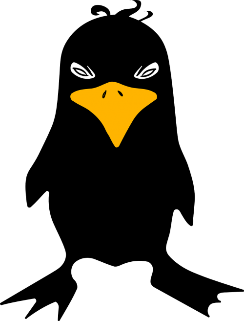 raven crow angry