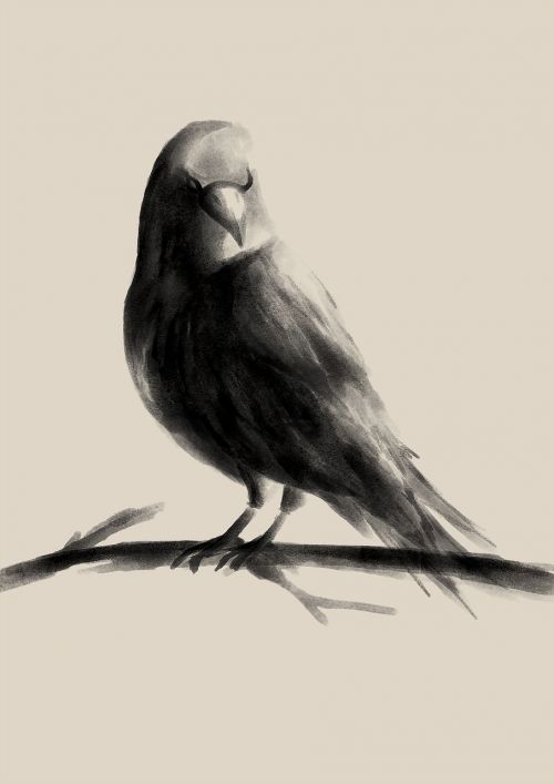 raven watercolor drawing