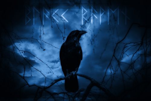 raven dark mystical