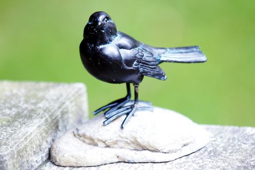 raven crow iron