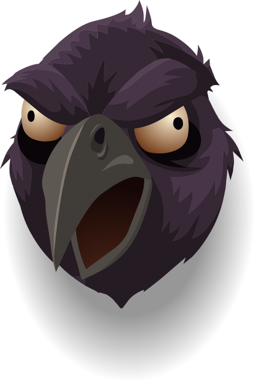 raven head bird
