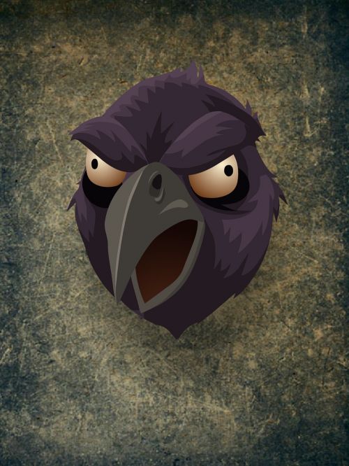 raven head bird