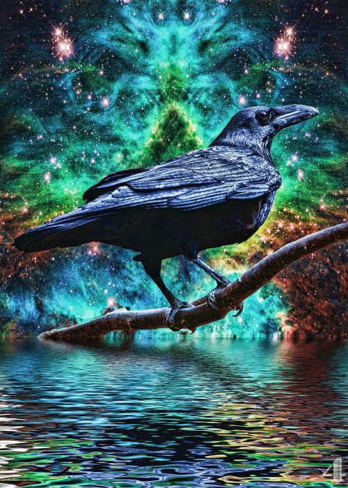 raven fantasy surreal