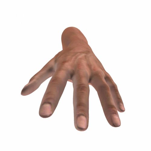 Real Hand