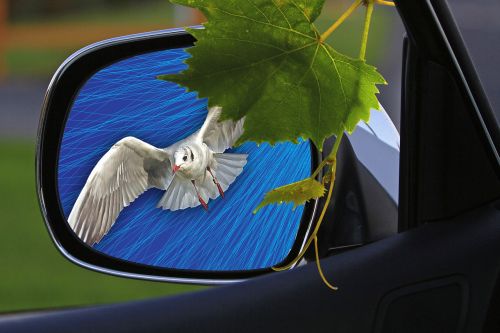 rearview mirror car mirror car