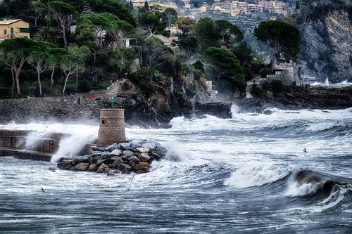 recco  camogli  liguria