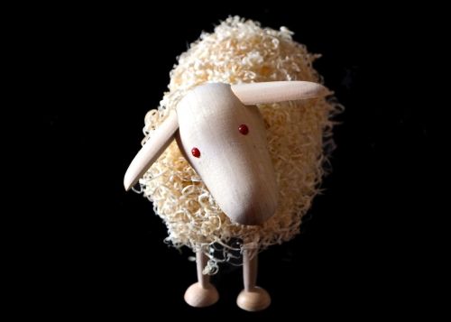 recycled sheep wool sheep