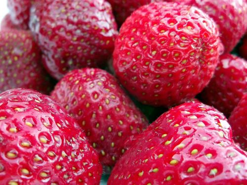 red strawberries fruits