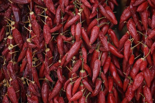 red pepper calabria