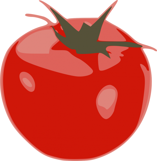 red tomato vegetable