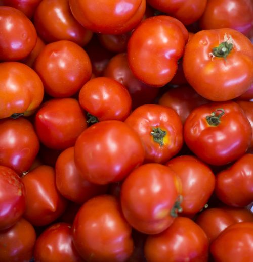 red tomaten tomato