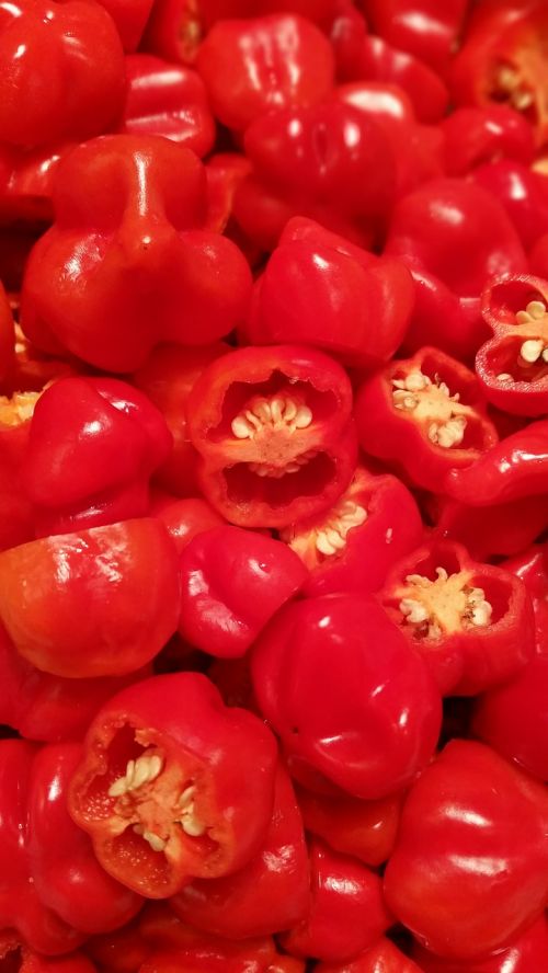 red peppers portrait