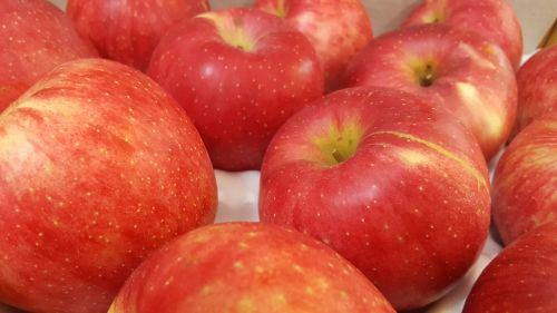 red apple fruit