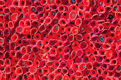 red poppy remembrance
