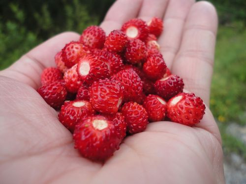 red fruit sweet