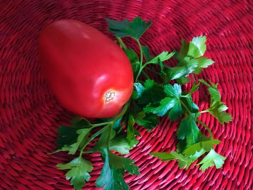 red tomato parsley