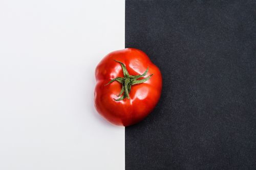 red tomato fruit