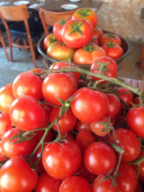 red tomato organic