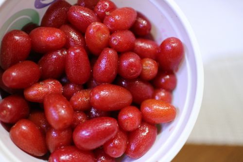 red fruit bodhi