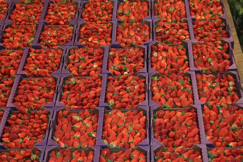 red  food  strawberries