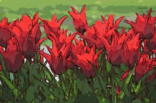 red  flower  painting