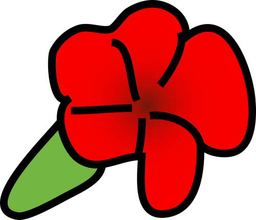 red flower blossom