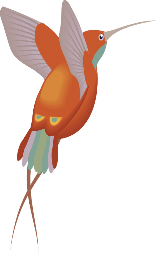 red orange hummingbird