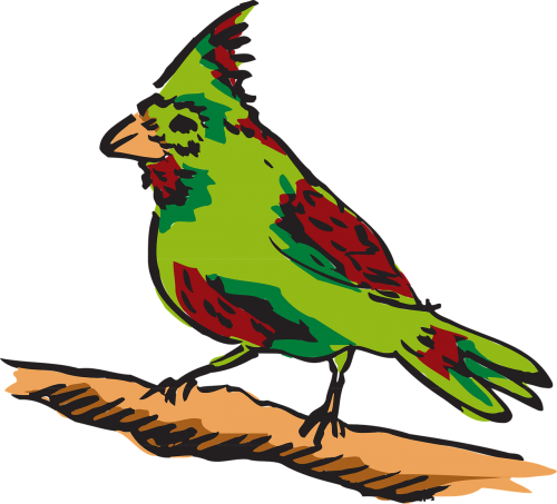 red green bird