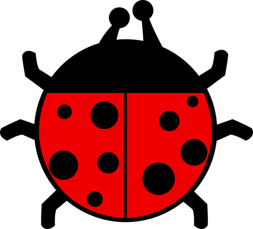 red black ladybug
