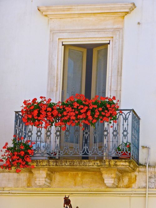 red flowers balcony