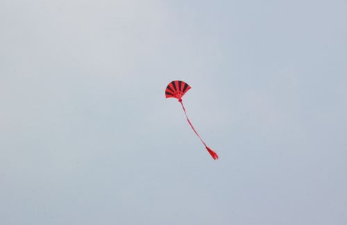 Red And Black Kite