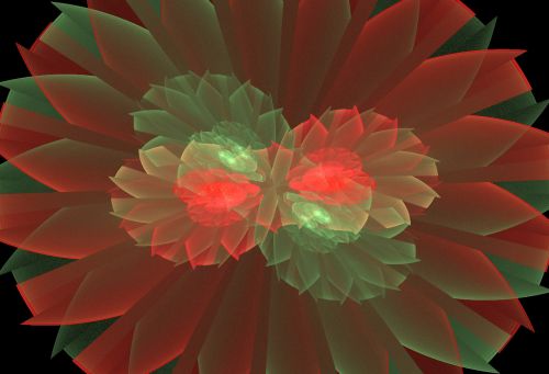 Red And Green Flower Fractal