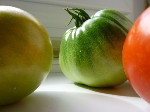 Red And Green Tomatoes