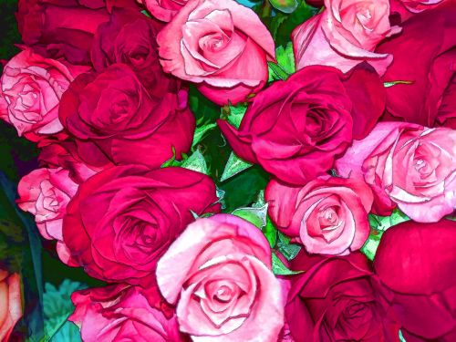 Red And Pink Roses Background