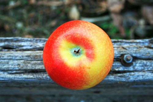 Red And Yellow Apple