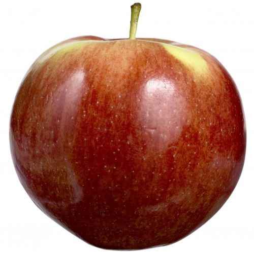 red apple empire apple fruit
